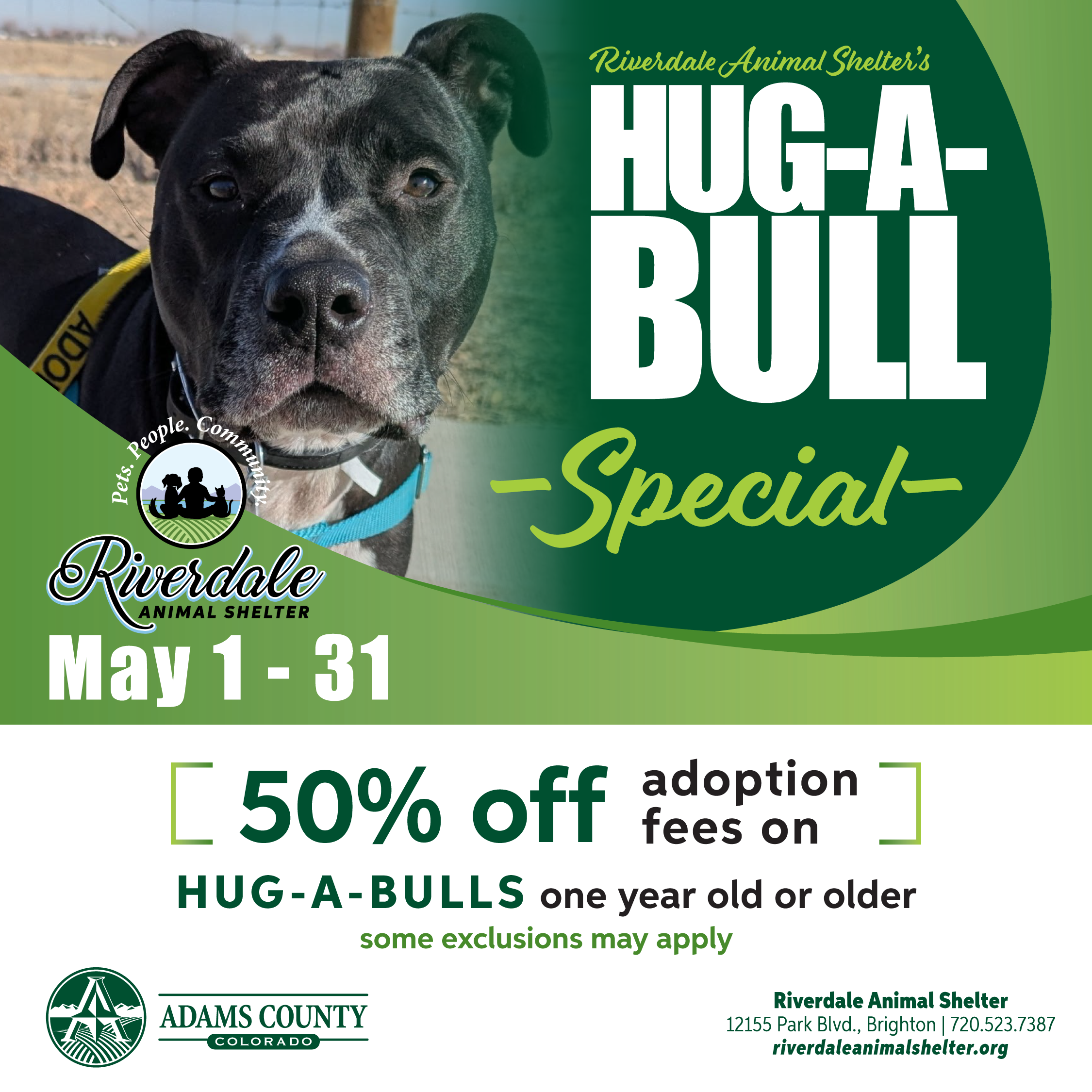 Hug-A-Bull Adoption Special